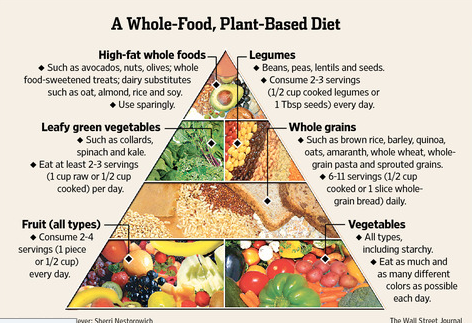 balanced plant based diet